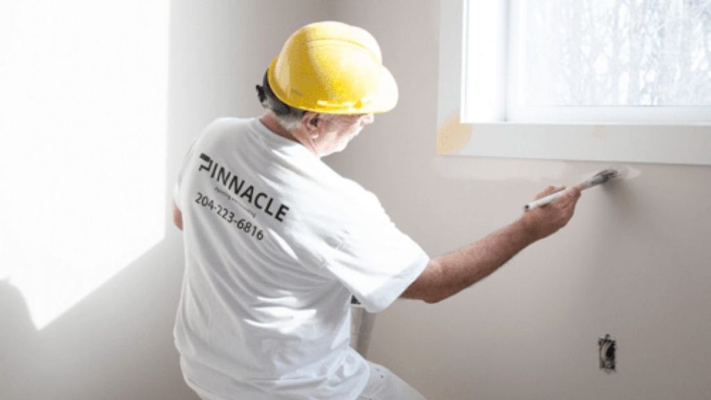 Pinnacle Painter